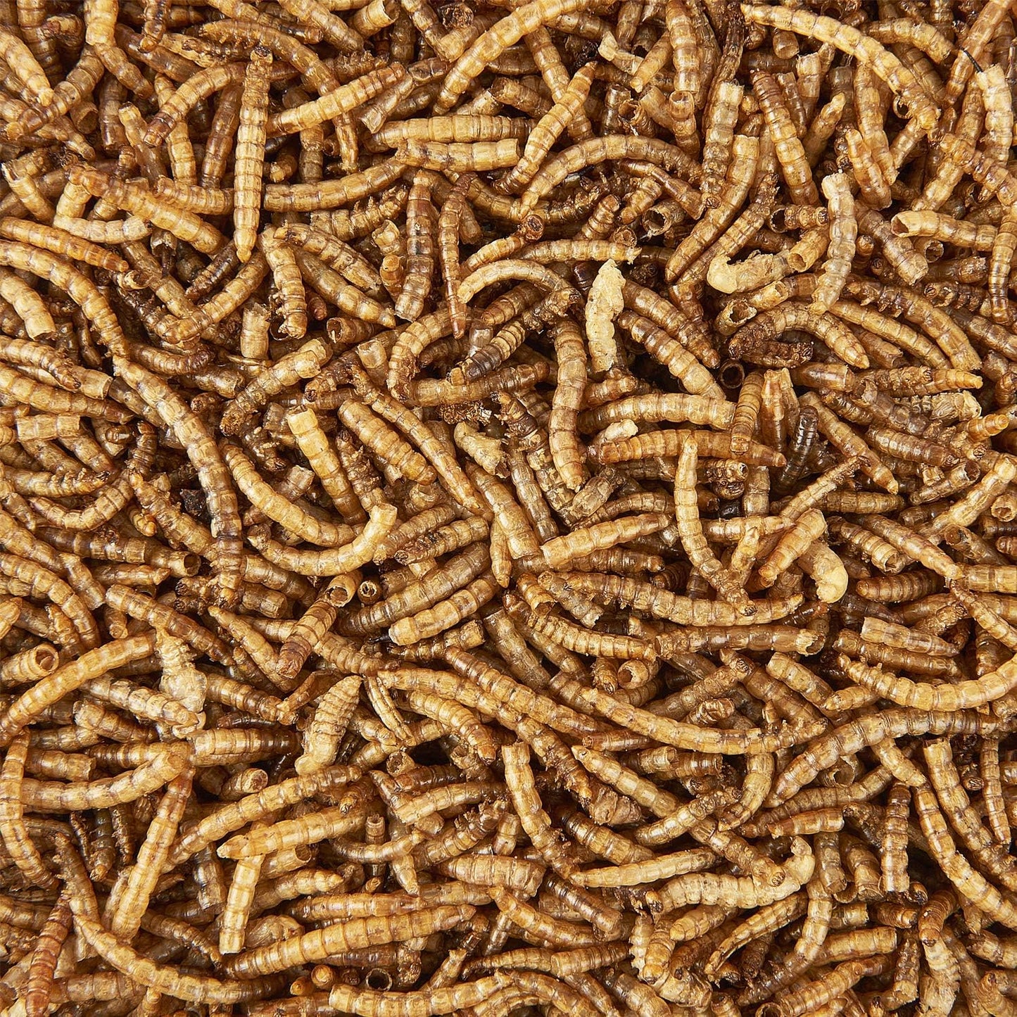 Garden Ting Dried Mealworms Tub, 3 Litre