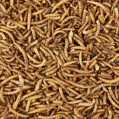 Garden Ting Dried Mealworms Tub, 3 Litre