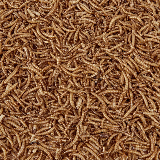 Wild Bird Food 5L Tub (5L Tub, Dried Mealworms)