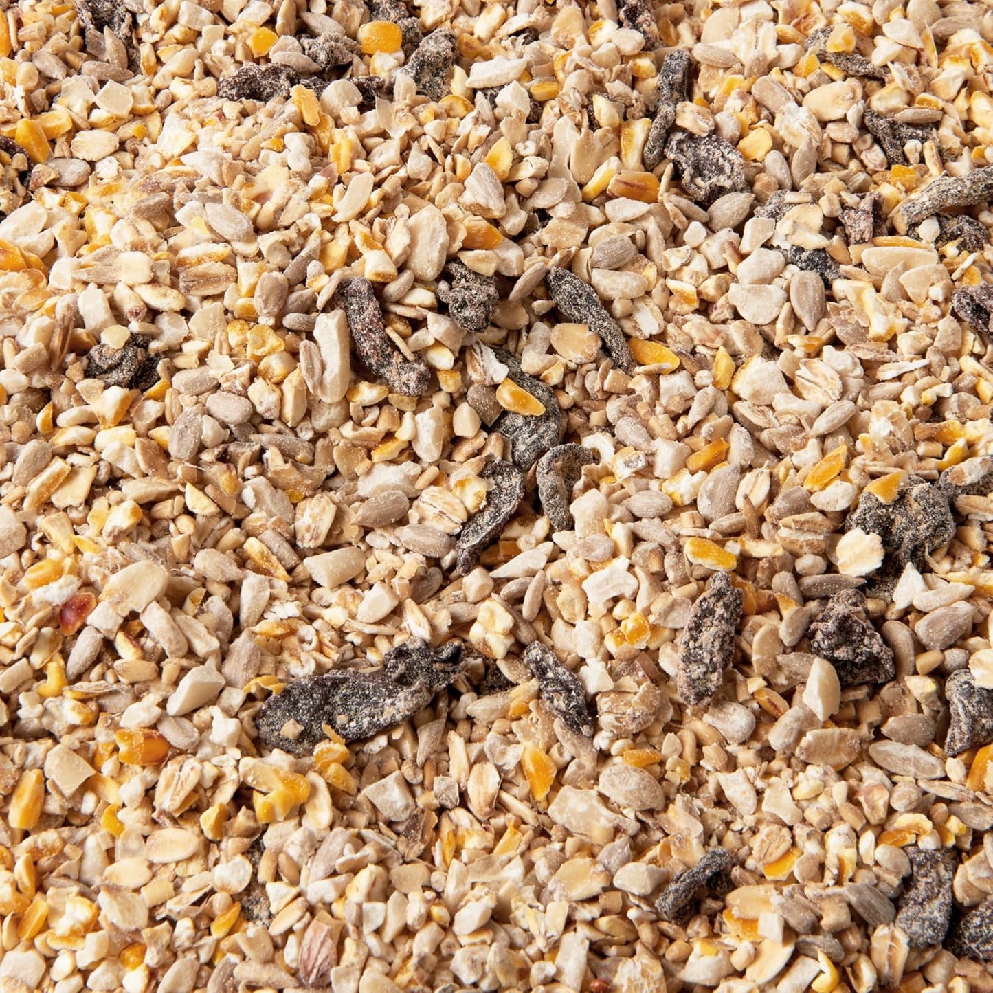 Premium Wild Bird Food 5L Refill, (5L Bag, No Mess Mix)