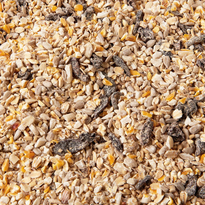 Premium Wild Bird Food 5L Refill, (5L Bag, No Mess Mix)
