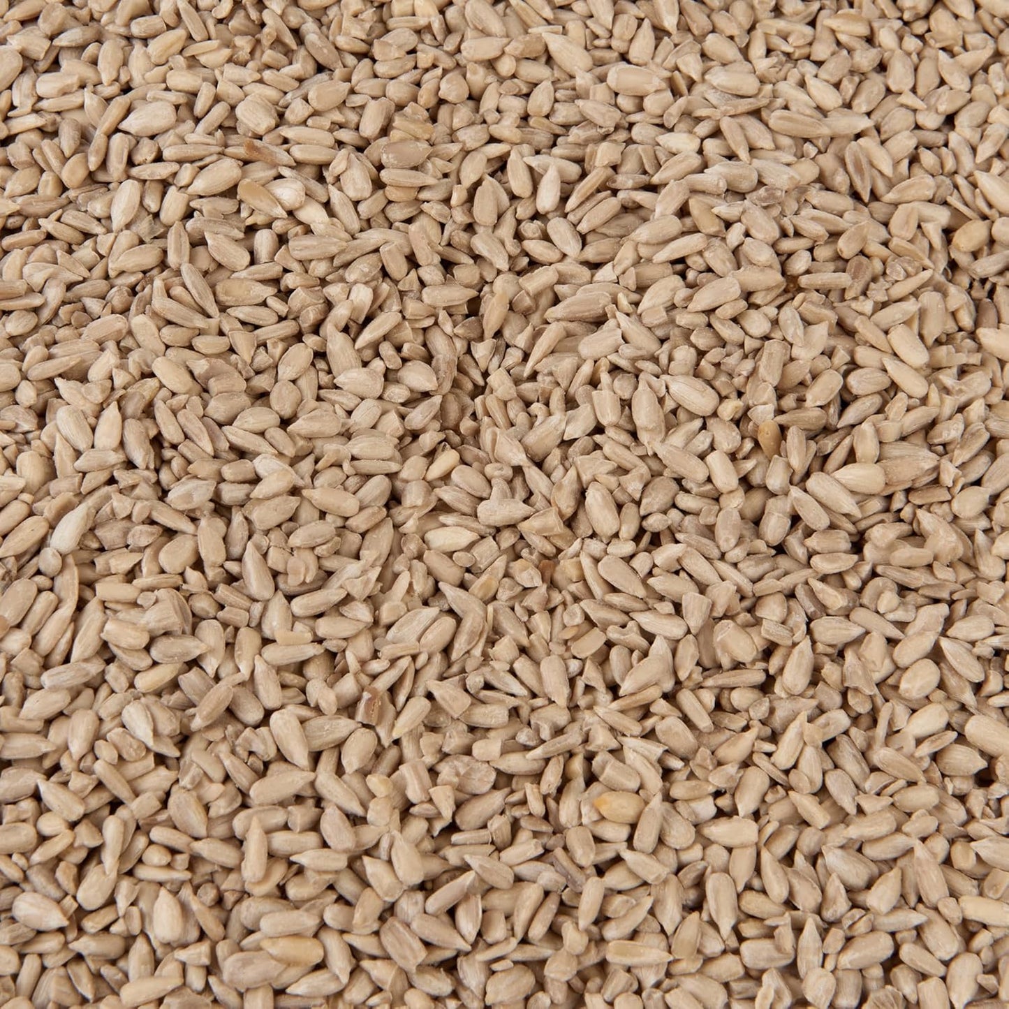 Wild Bird Food (2kg, Sunflower Hearts)
