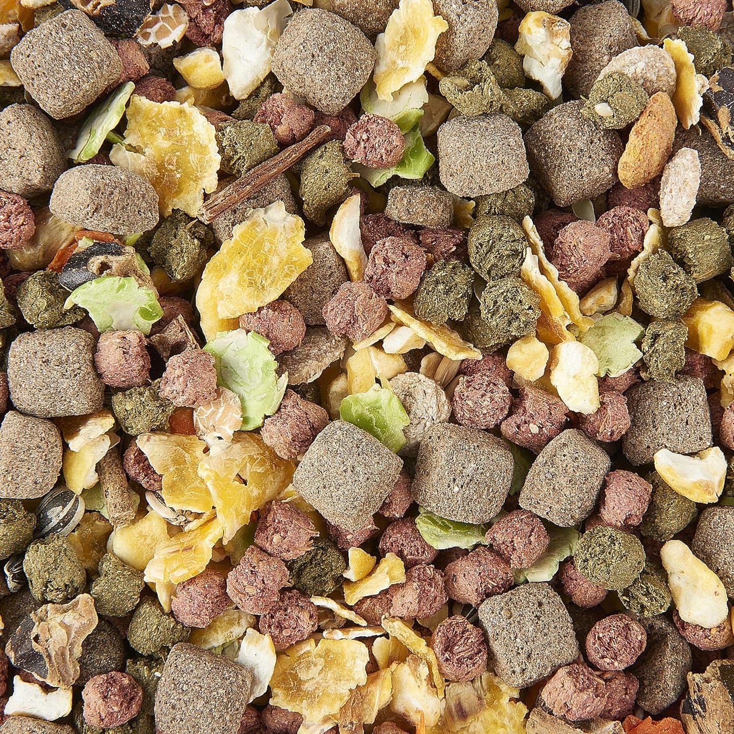 Rat Food