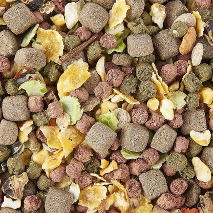 Rat Food