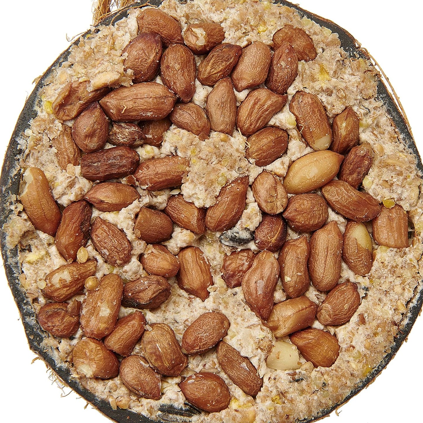Garden Ting Peanut Coconut Halves Wild Bird Treat, 2.4 kg - 12 count