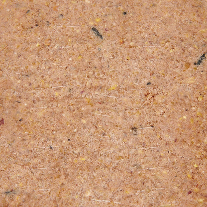 Garden Ting Mixed Suet Block Wild Bird Treat, 12 x 300g