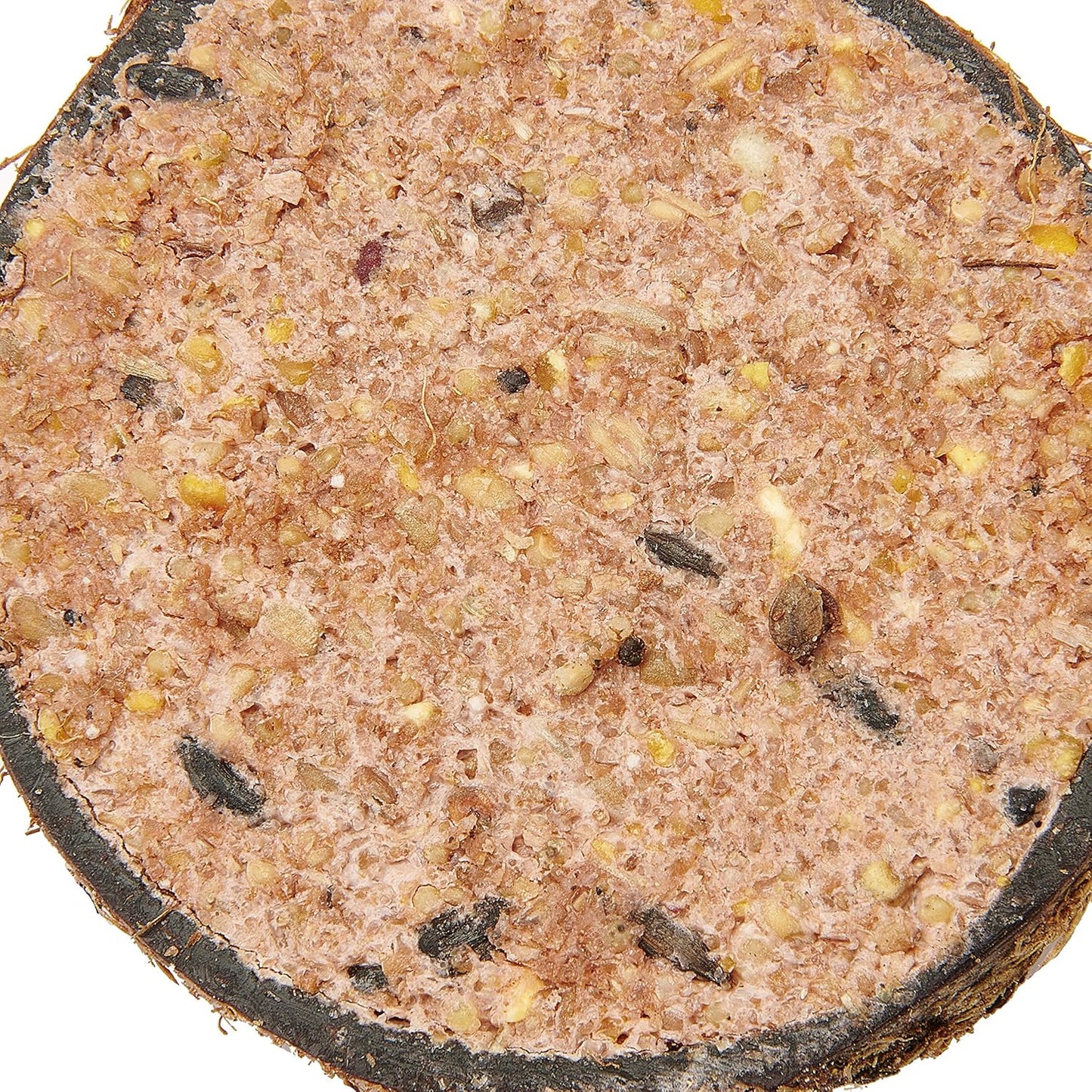 Garden Ting Berry Suet Coconut Halves Wild Bird Treat - 12 Count