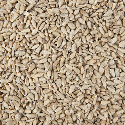 Garden Ting Premium Sunflower Hearts Kernels, Wild Bird Food Tub, 3 Litre