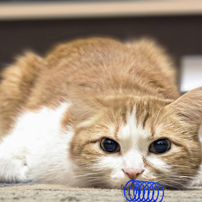 Purring Pussy Cat Toy Crinkle Balls 12 Pack