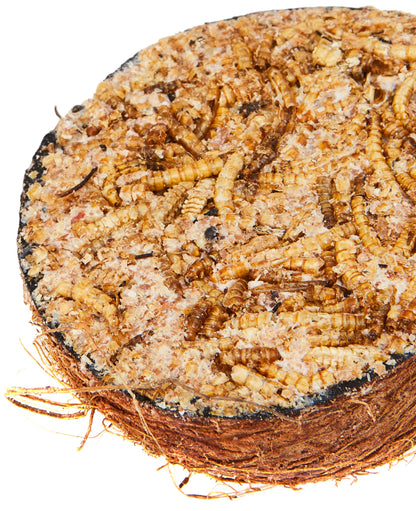 Garden Ting Mealworm Suet Coco Halves Wild Bird Treat, 400 g